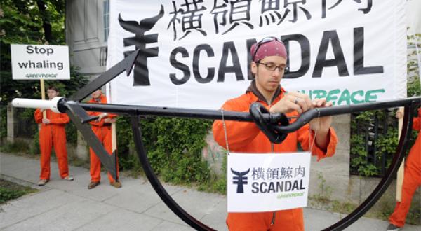 whaling protest at Japanese embassy