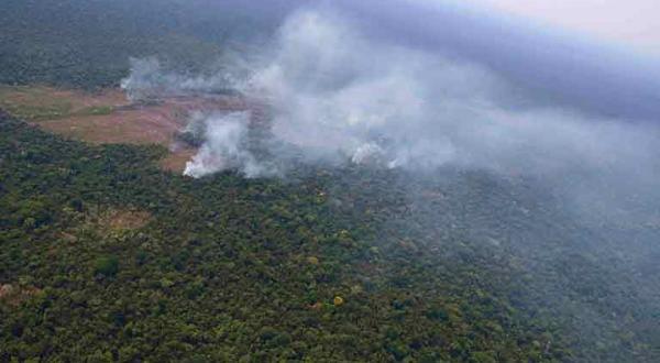 Feuer im Amazonas, September 2019
