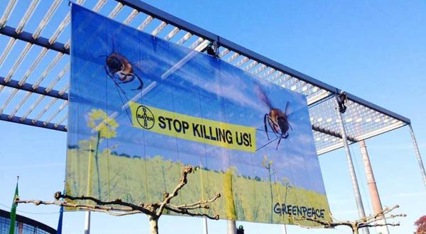 Greenpeace Aktivisten protestieren vor dem Firmensitz des Chemiekonzerns Bayer gegen Bienenkiller, April 2014