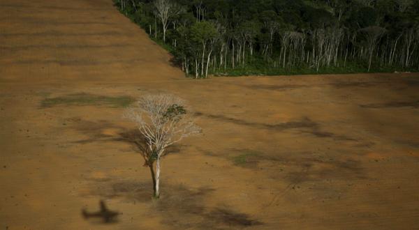 Preisgekröntes Foto aus Amazonien: Der Regenwald wurde hier für den Sojaanbau gerodet. 03/03/2006