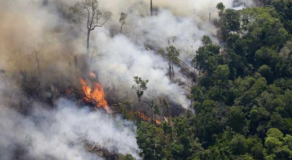 Brasilianischer Regenwald wird niedergebrannt, August 2008