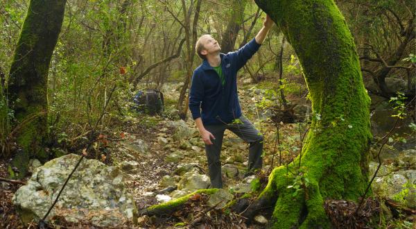 Matthias Schickhofer im Wald. Neben ihm ragt ein vollständig bemooster Baumstamm auf, zu dem er aufschaut, und den er mit  ausgestreckter Hand berührt.