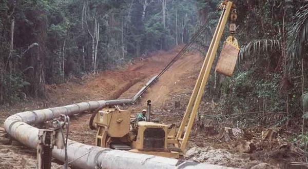 Bau der Tschad-Kamerun-Pipeline durch den Regenwald/Urwald von Kamerun, August 2002