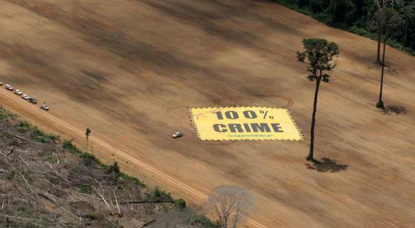 Santarém: Kahlschlagfläche mit Banner und frisch gepflanztem Baum im März 2006