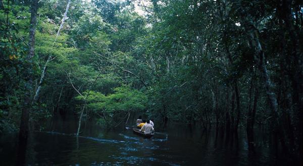 Deni-Indianer paddeln im Kanu auf dem Fluss Cuniua, Februar 2001