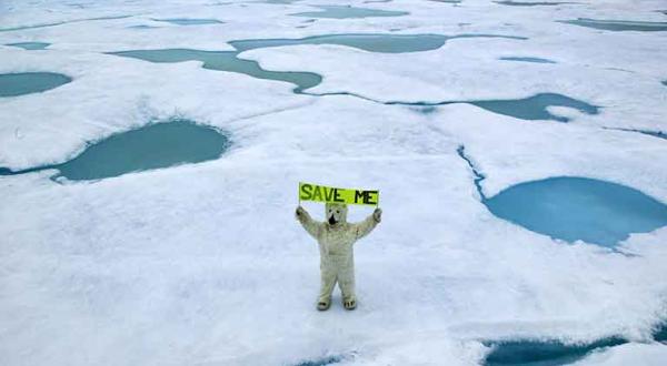 Eisbär protestiert gegen Klimawandel im Grönland Eis der Arktis, Juli 2005