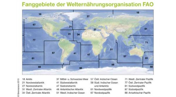 Fanggebietskarte der FAO. 2010