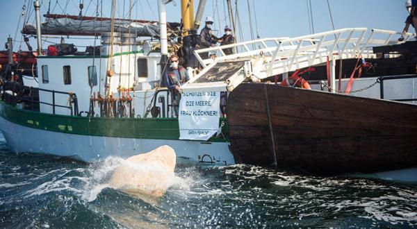 Fehmarnbelt: Greenpeace-Aktive versenken Granitsteine zum Schutz vor Grundschleppnetzen