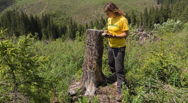 Porträt Gesche Jürgens
