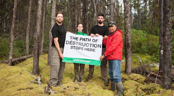 Greenpeace-Aktivisten und Cree-Mitglieder stehen im Broadback Valley Forest und halten gemeinsam ein Banner mit der Aufschrift "The Path of Destruction Stops Here".