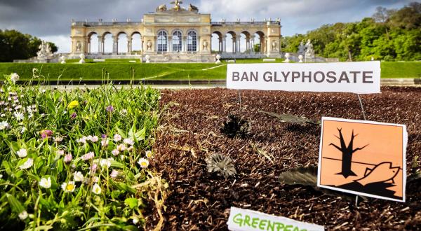 Greenpeace-Aktion gegen Glyphosat vor dem Schloss Schönbrunn in Wien