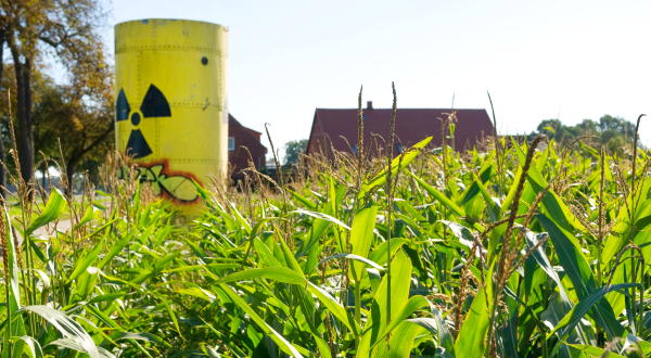 Protestaktion gegen Gorleben als Endlager: Symbolisches Fass mit Atommüll in einem Maisfeld