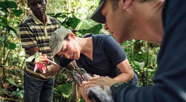 Bodenprobenahme in der Demokratischen Republik Kongo