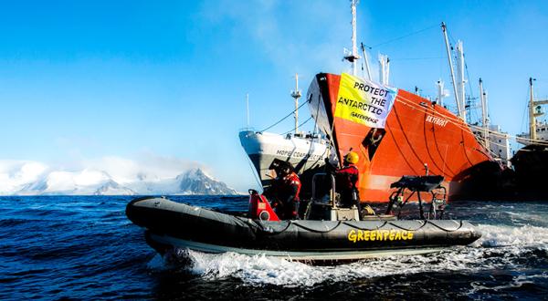 Greenpeace-Aktivisten im Schlauchboot vor Krillfangschiffen