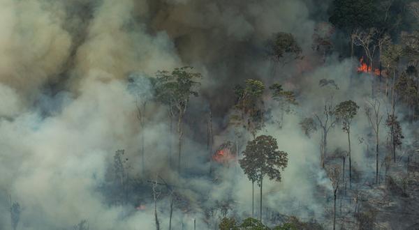 24. August 2019: Brennender Urwald in Amazonien