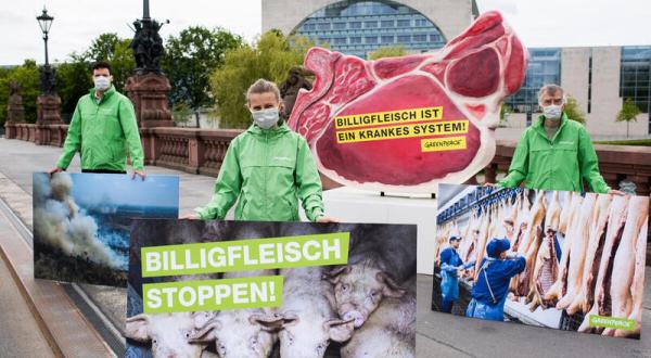 Protest gegen das System Billigfleisch