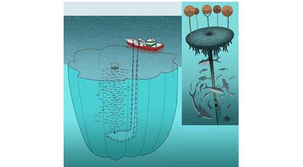 Fischerei Grafik. Fischereimethode Fischsammler (FAD), August 2011
