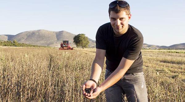 Griechischer Landwirt steht auf einem Feld und hält Bohnen-Saatgut in der Hand. 