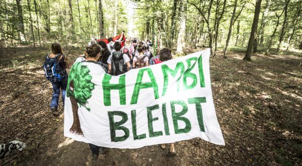 "Hambi bleibt": Aktivisten protestieren friedlich für den Erhalt des Hambacher Forstes, den RWE für Braunkohle roden will.
