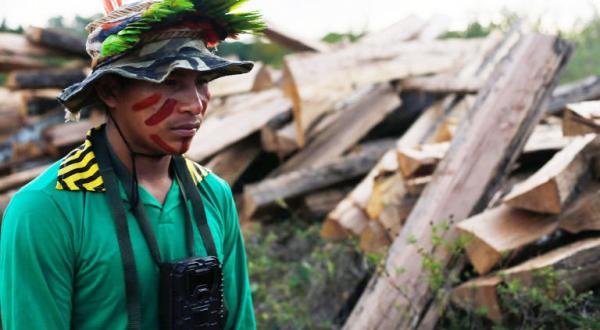 Indigener steht vor einem Berg abgeholzter Bäume.