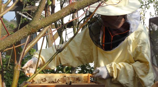 Imker Lukas aus Kassel mit seinem Bienenstock