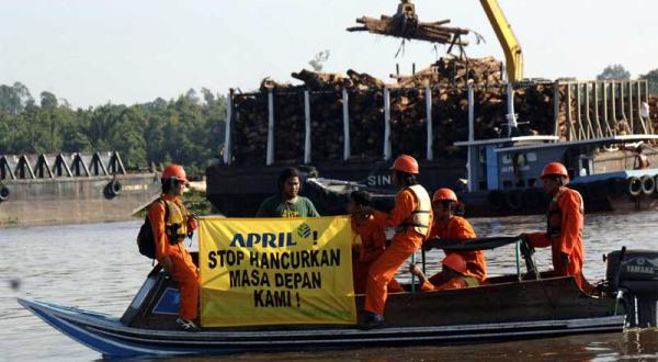 Greenpeace protestiert gegen eine weitere Abholzung der Torfwälder. Juli 2010