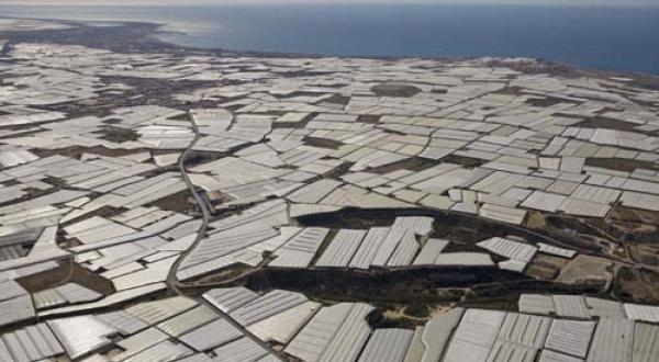 Intensive Landwirtschaft im Südosten Spaniens (Andalusien) . Plastikfolien-Gewächshäuser für den Gemüseanbau entlang der spanischen Küste bei Almeria, genannt "Plastic-city" El Ejido. 