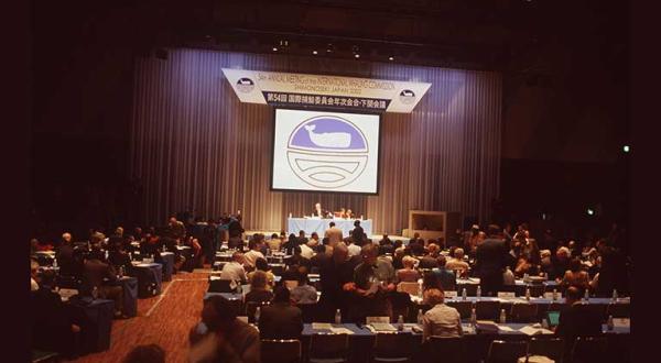 Shimonoseki:Japan - Eröffnung der Generalversammlung der 54. Internationalen Walfang Kommission (IWC), Mai 2002