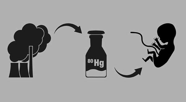 Infografik Quecksilber und Kohle