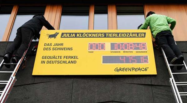 Der digitale Zähler am Landwirtschaftsministerium läuft: Sekundengenau zeigt er die Zahl der seit Beginn des „Jahrs der Schweins“ gequälten Ferkel in Deutschland.
