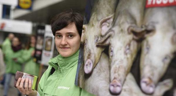 Aktivisten halten ein Plakat - es zeigt dreckige, eng stehende Schweine