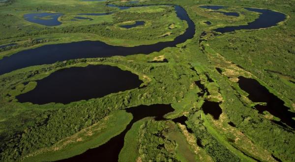 Luftaufnahme von dem Pantanal, Grünflächen und viel Wasser.
