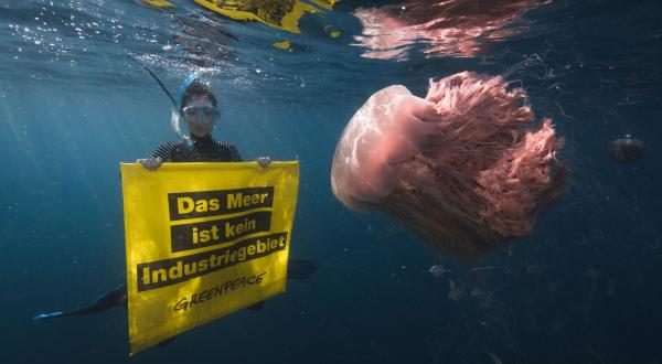 Taucherin mit Unterwasserbanner: "Das Meer ist kein Industriegebiet."