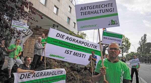 Greenpeace-Aktivisten und Bauern haben einen Misthaufen vor die Tür des Bauerntages geschüttet; sie demonstrieren gegen Massentierhaltung und für bäuerliche Landwirtschaft.