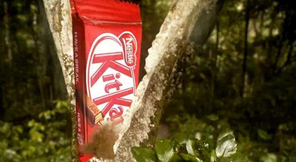 Screenshot vom Greenpeace Kitkat-Video