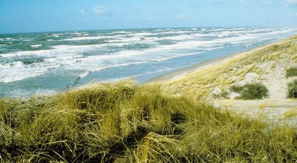 Nordseestrand mit Dünen, Juni 1999