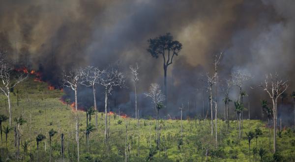 Waldbrände im brasilianischen Regenwald, August 2008