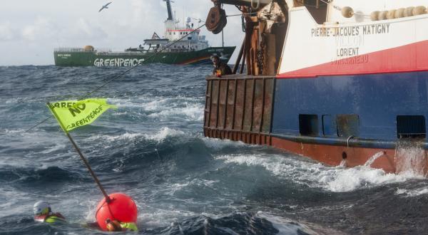 2011: Greenpeace-Aktivisten protestieren gegen die "Pierre-Jacques Matigny", die bei Nordirland in 1000 Metern Tiefe ihre Netze ausgeworfen hat