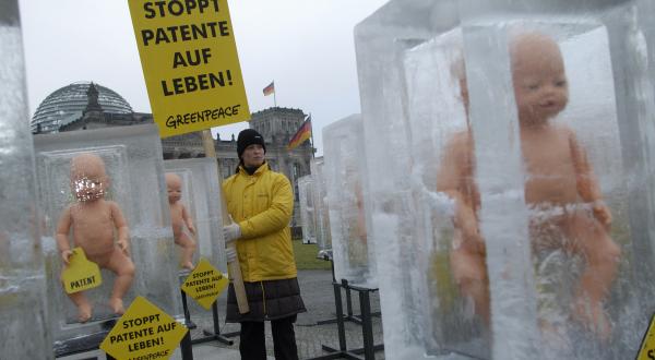 Greenpeace Aktivisten protestieren mit 50 in Eisblöcken eingefrorenen Babypuppen vor dem Bundestag gegen Patente auf Leben