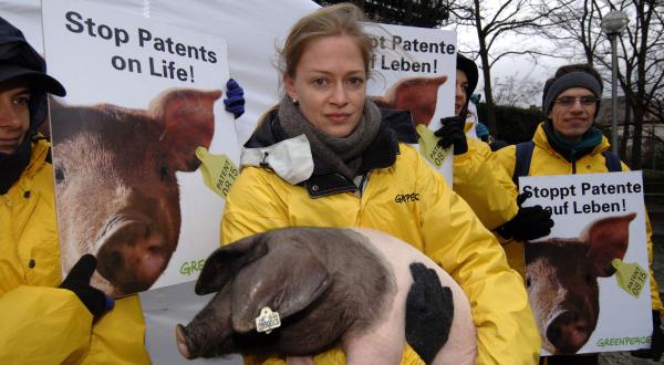 Mit Ferkel auf dem Arm fordern Greenpeace und die Bäuerliche Erzeugergemeinschaft Schwäbisch Hall die Mitarbeiter des EPA heute auf, die Patentanträge abzulehnen. Dez. 2005.
