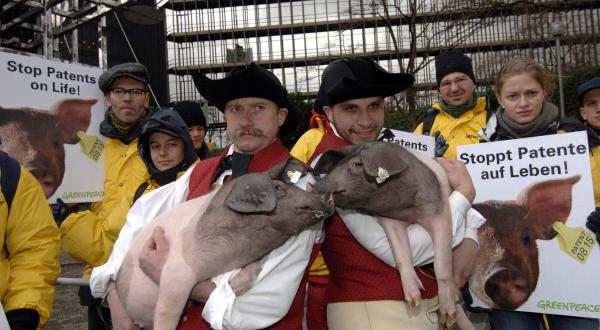 Patentierung von Schweinen: Mit Ferkel auf dem Arm fordern Greenpeace-Aktivisten und die Bäuerliche Erzeugergemeinschaft Schwäbisch Hall die Mitarbeiter des EPA auf, die Patentanträge abzulehnen. 2005