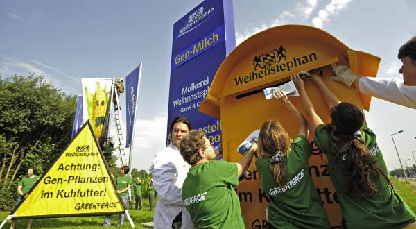 Greenpeace-Aktivisten betonieren einen zweieinhalb Meter hohen Briefkasten mit rund 10.000 Protestbriefen von Verbrauchern vor der Zentrale der Molkerei Weihenstephan in Freising ein. Auf dem Firmenschild steht nun "Gen-Milch Molkerei Weihenstephan". Juli