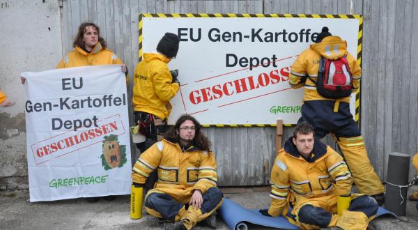 Greenpeace-Aktivisten vor dem Lagerhaus der Gen-Kartoffel Amflora in Bütow/Mecklenburg-Vorpommern.