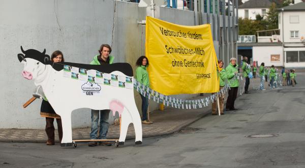 Greenpeace-Aktivisten überbringen der Molkerei Schwälbchen über 3300 Protestpostkarten von Verbrauchern, die Gen-Milch ablehnen.