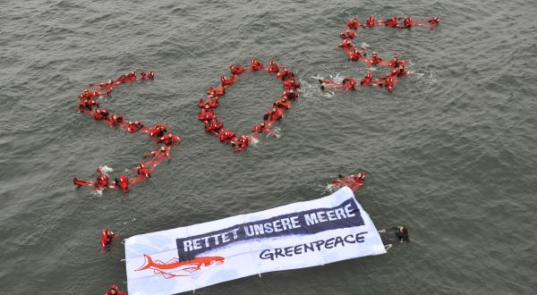 50 Greenpeace-Aktivisten geben den Meeren und den Schweinswalen eine Stimme: SOS - der Seenotruf.