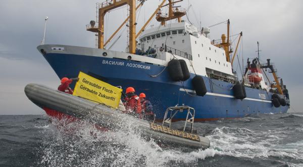 Februar 2011: Greenpeace-Aktivisten protestieren vor der senegalesischen Küste gegen den russischen Trawler "Vasilij Lozovskij"