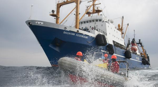 Greenpeace-Aktivisten protestieren gegen den russischen Fischtrawler "Vasili Lozovski", Februar 2012