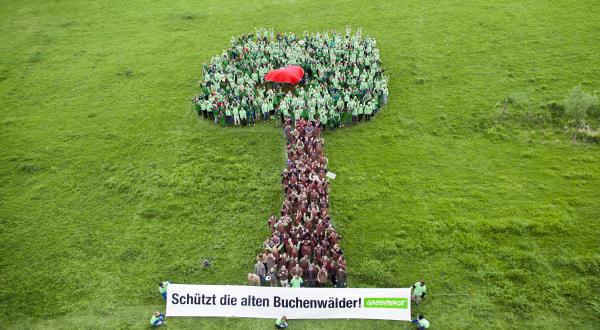 Menschenbanner zum Schutz der Buchenwälder