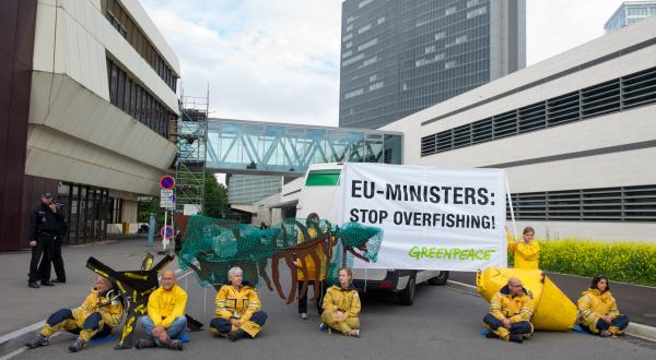 Greenpeace-Aktivisten protestieren vor dem EU-Fischereiministerium in Luxemburg, Dezember 2012