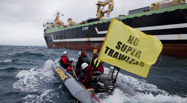 Nach einer Aktion von Greenpeace-Aktivisten aus australischen Gewässern verbannt: der Supertrawler "FV Margiris"